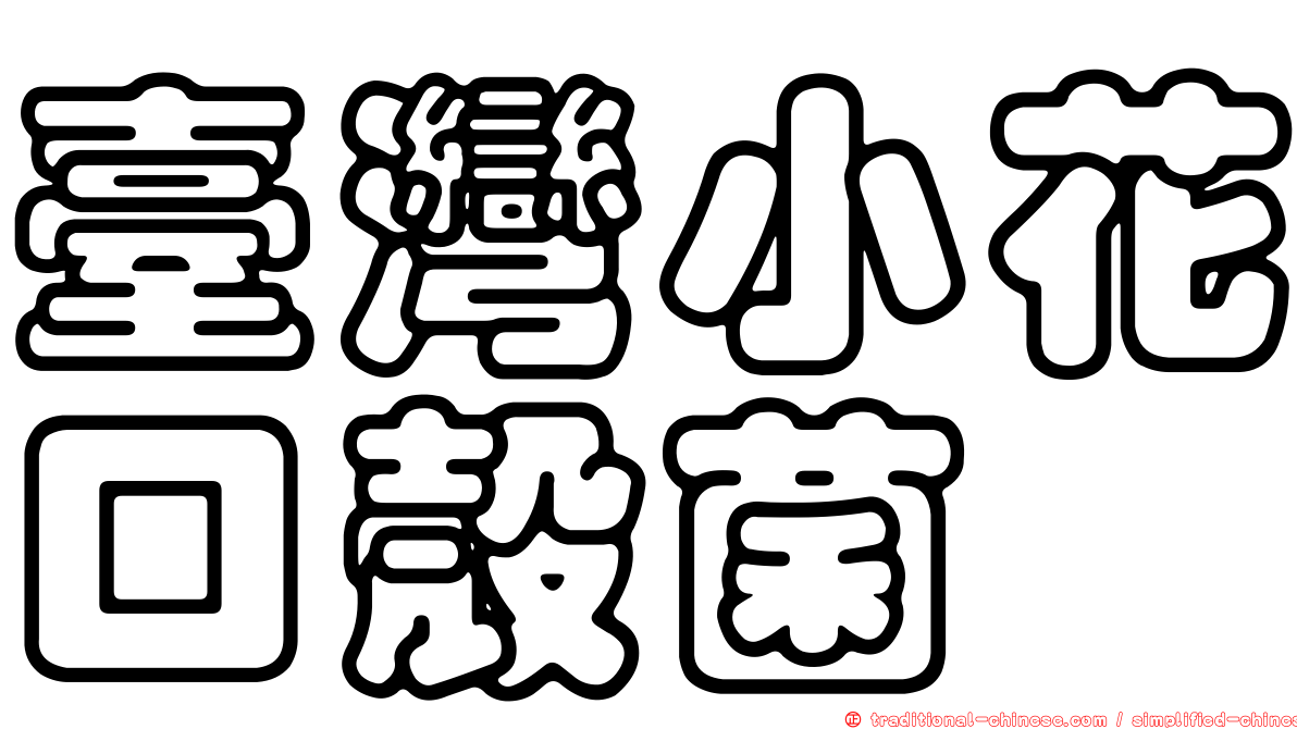 臺灣小花口殼菌
