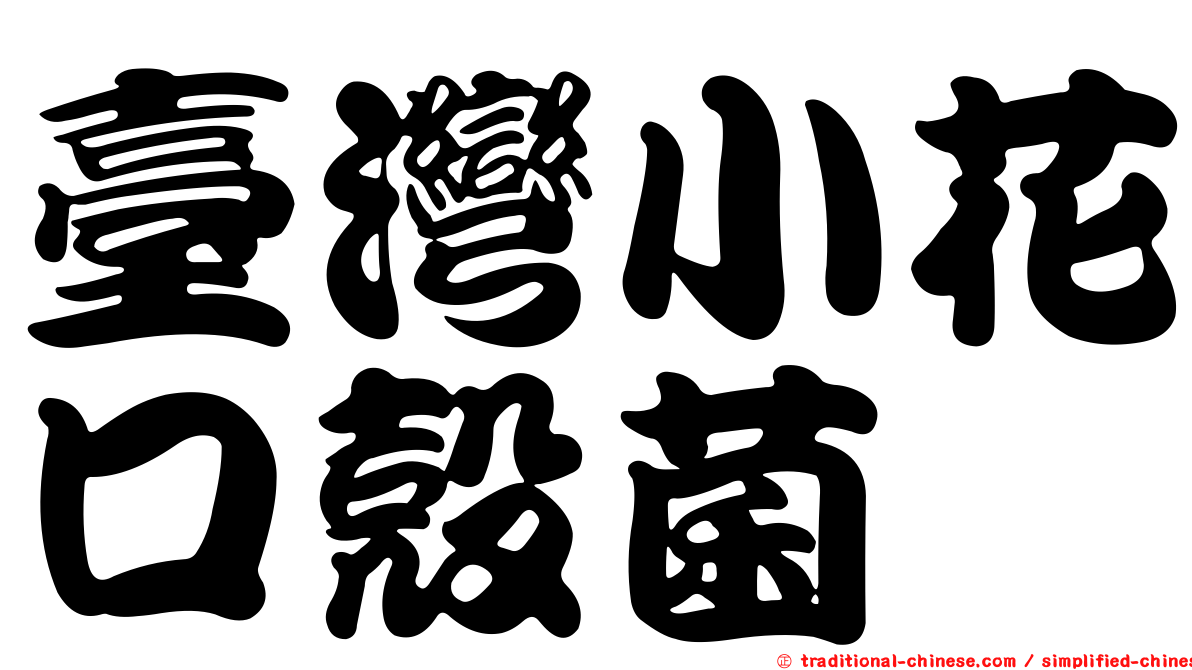 臺灣小花口殼菌