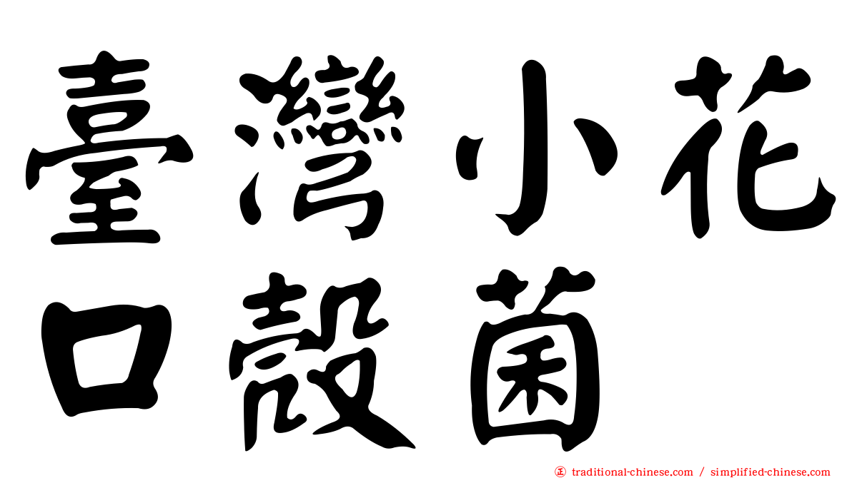 臺灣小花口殼菌