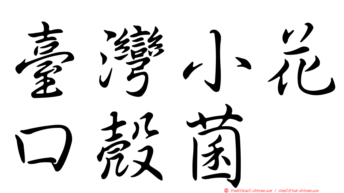 臺灣小花口殼菌