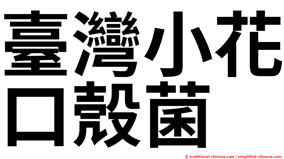 臺灣小花口殼菌