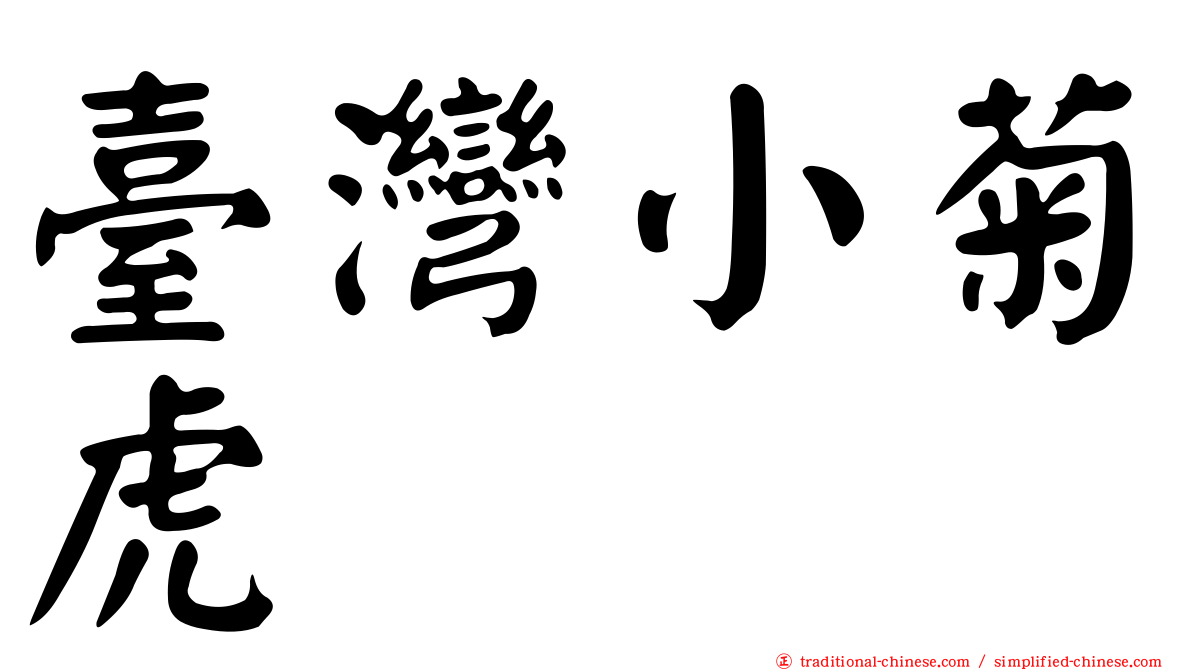 臺灣小菊虎