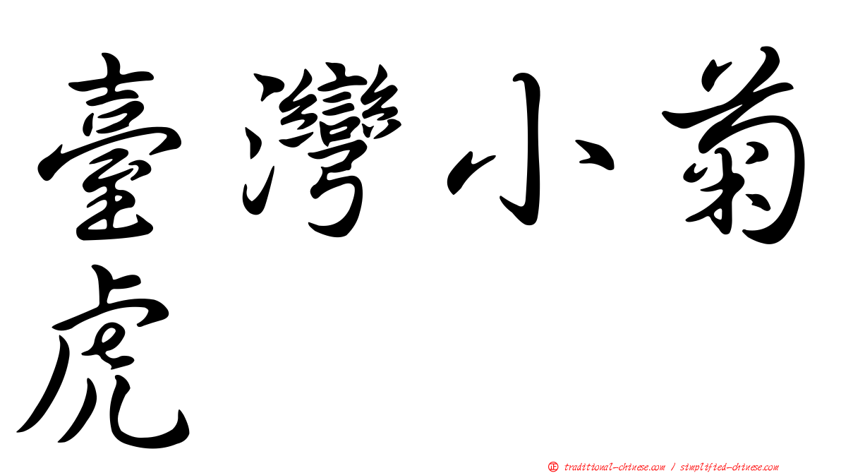 臺灣小菊虎