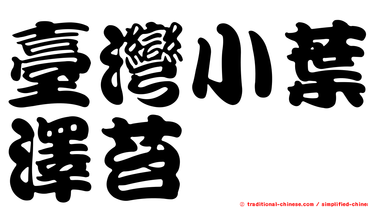 臺灣小葉澤苔