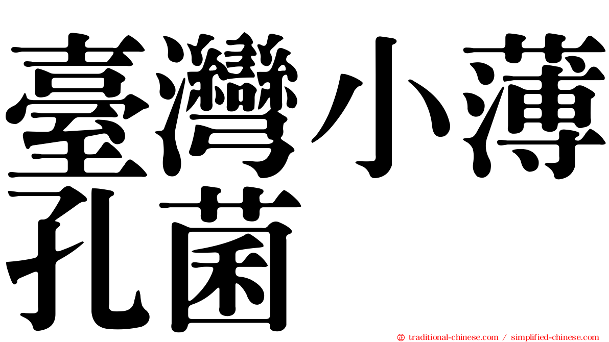 臺灣小薄孔菌