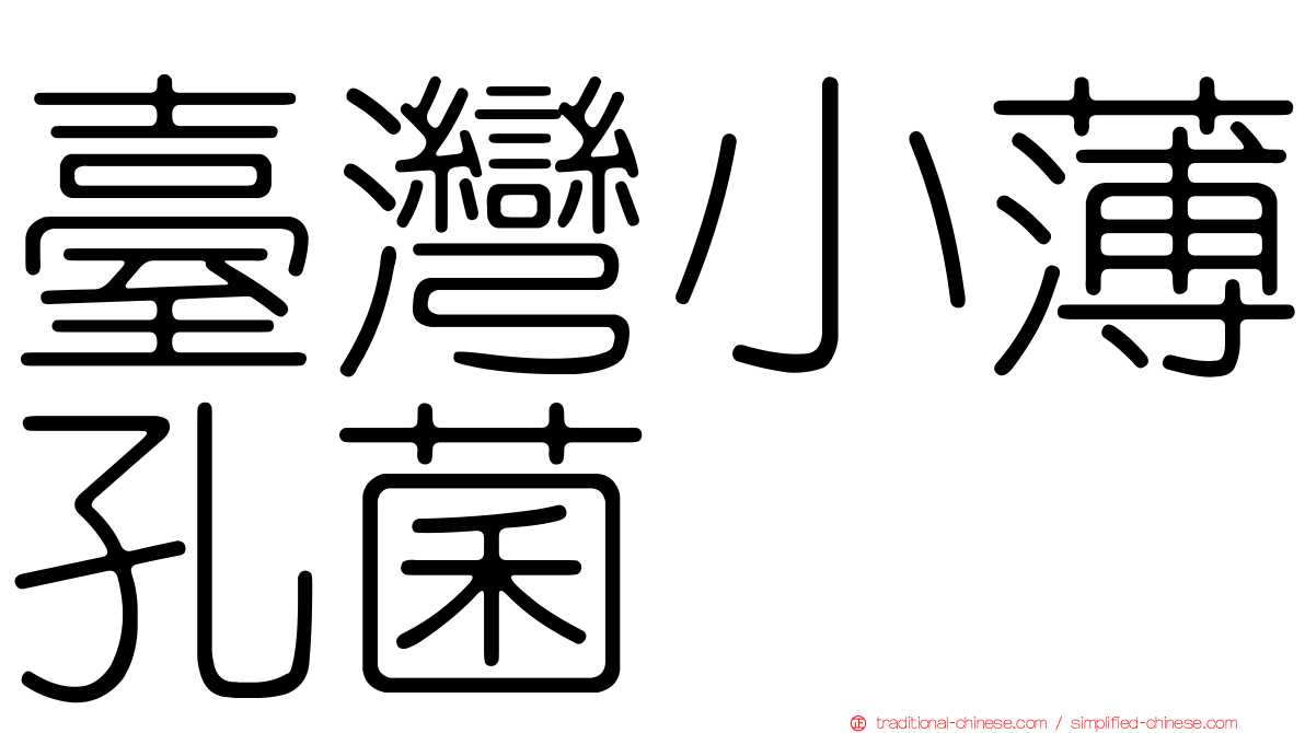 臺灣小薄孔菌
