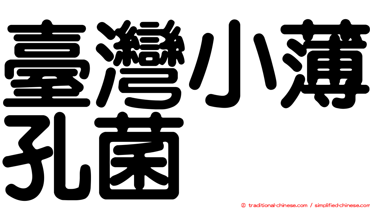 臺灣小薄孔菌