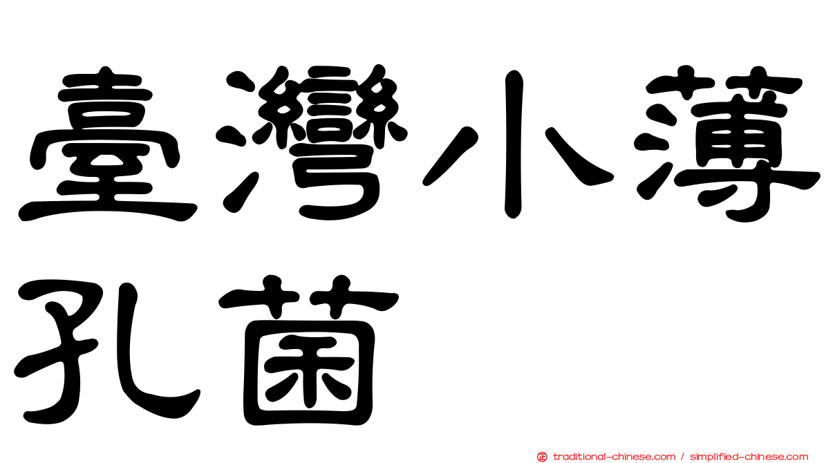 臺灣小薄孔菌