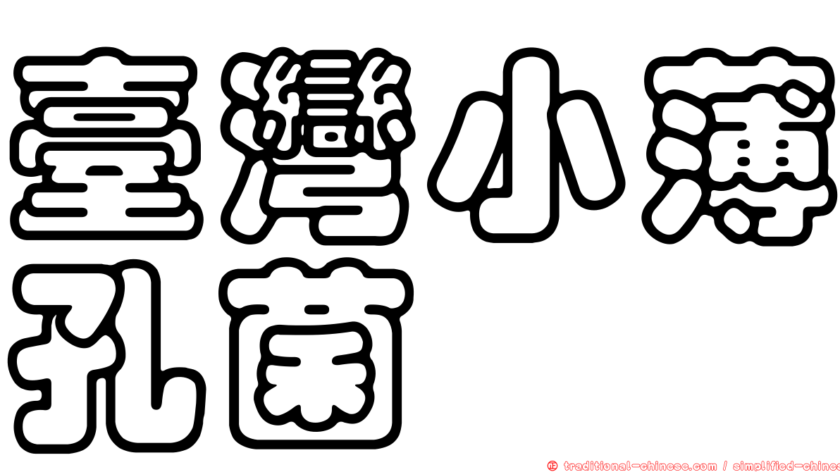 臺灣小薄孔菌
