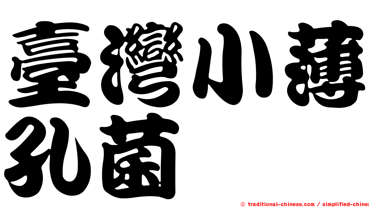 臺灣小薄孔菌