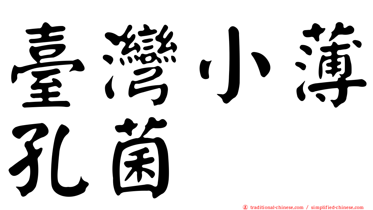 臺灣小薄孔菌