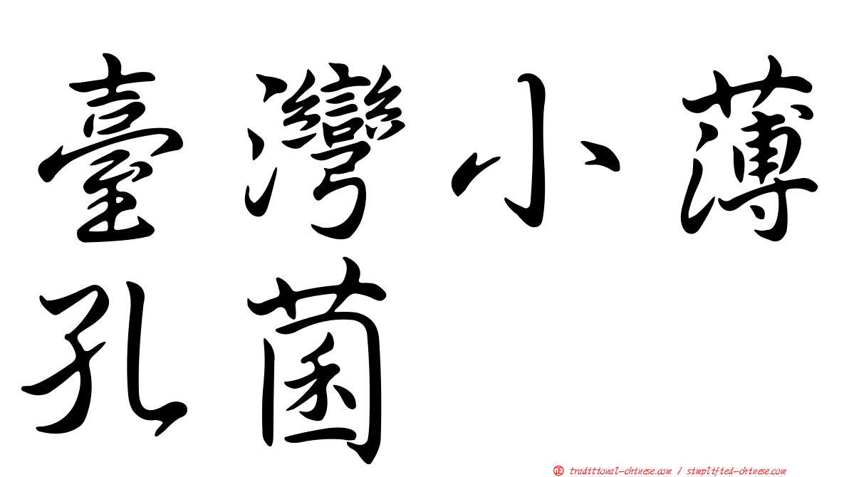 臺灣小薄孔菌