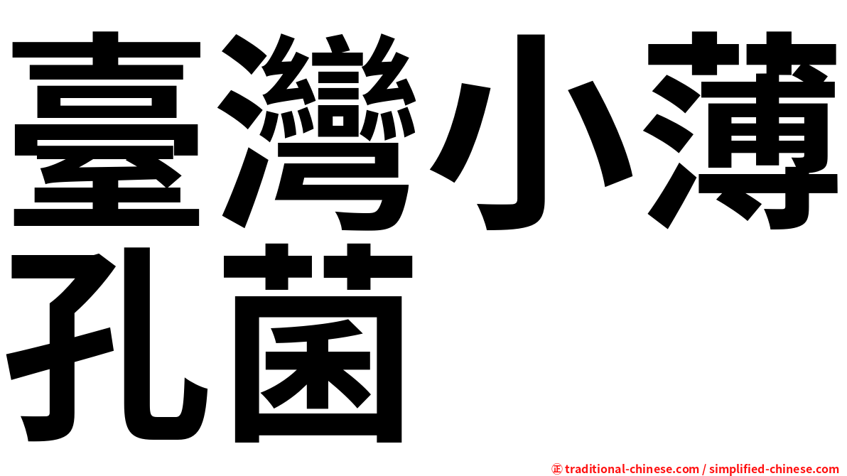 臺灣小薄孔菌