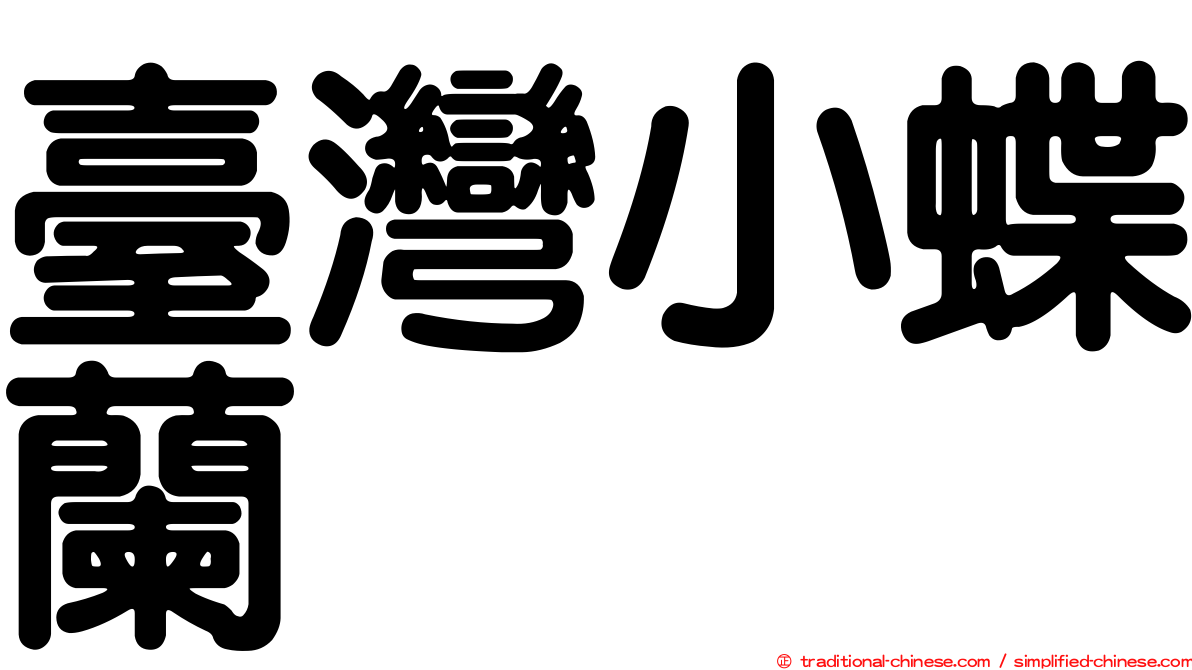 臺灣小蝶蘭
