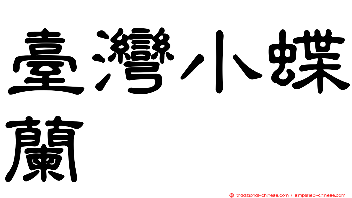 臺灣小蝶蘭