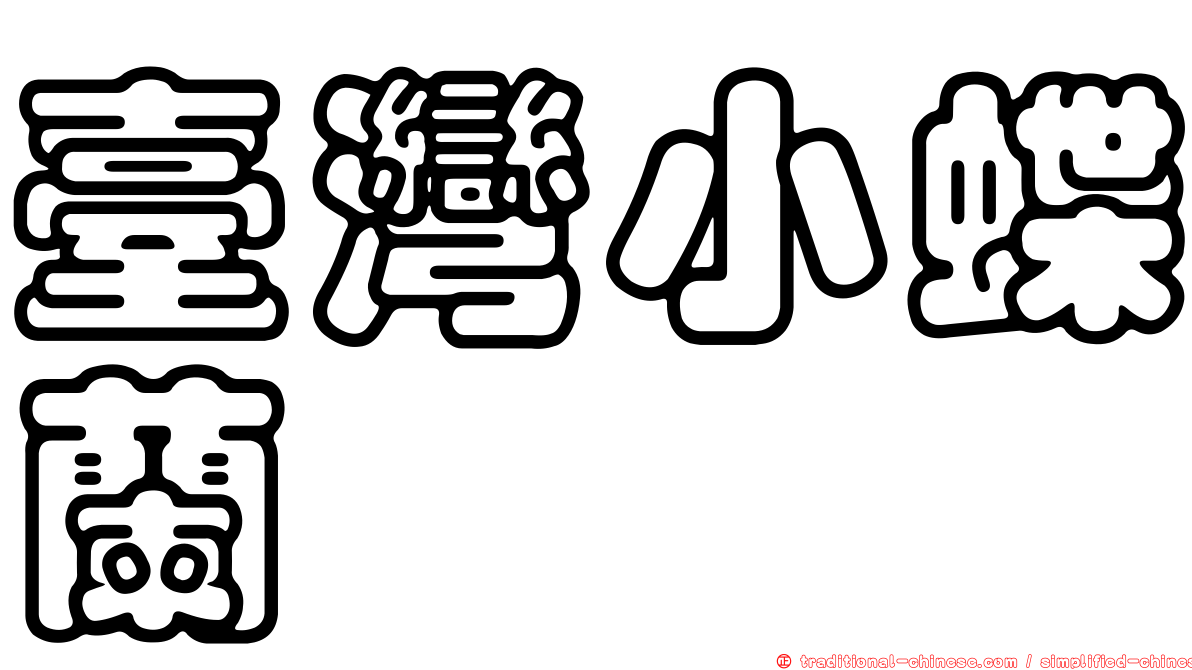 臺灣小蝶蘭