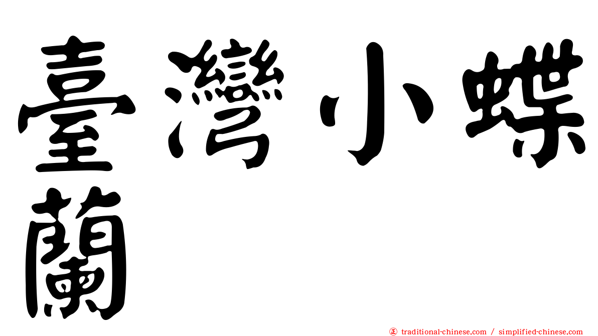 臺灣小蝶蘭