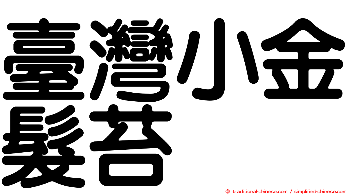 臺灣小金髮苔