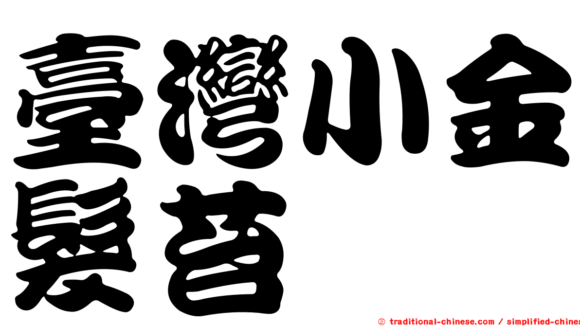 臺灣小金髮苔