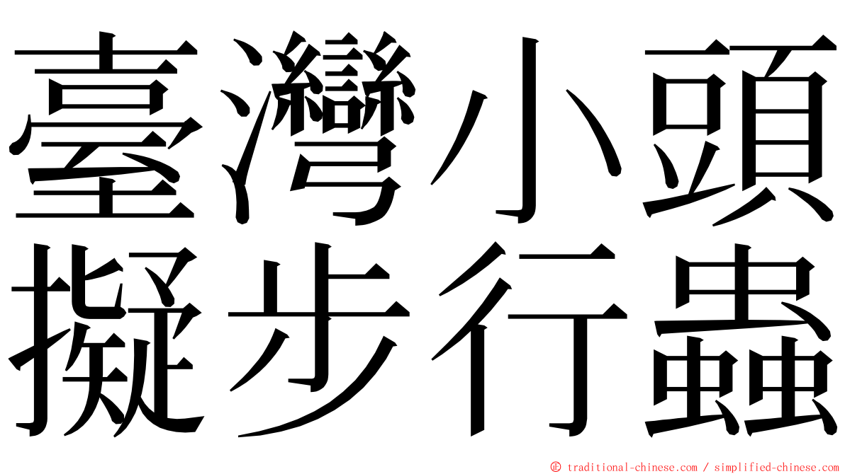 臺灣小頭擬步行蟲 ming font