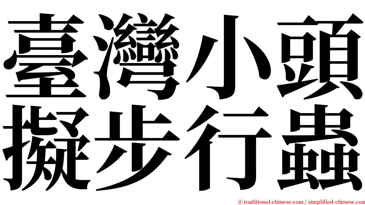 臺灣小頭擬步行蟲 serif font