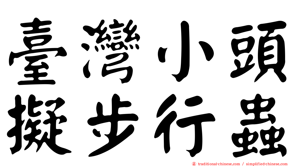 臺灣小頭擬步行蟲