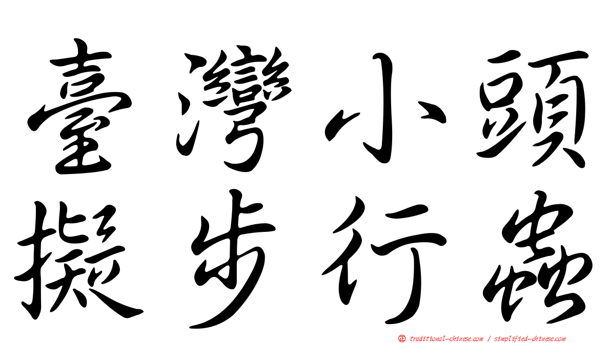 臺灣小頭擬步行蟲