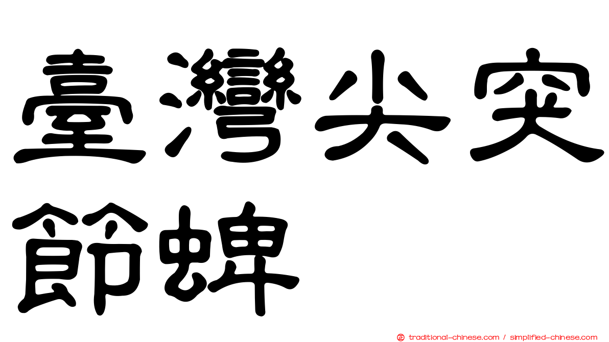 臺灣尖突節蜱
