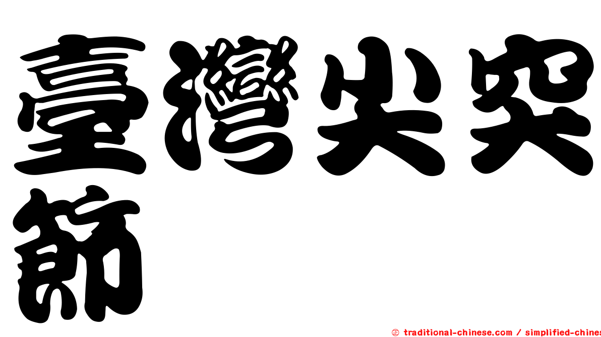 臺灣尖突節蜱