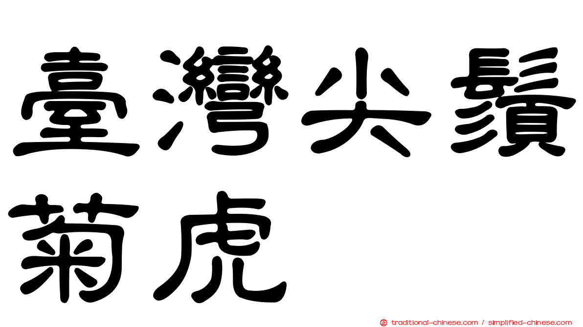 臺灣尖鬚菊虎