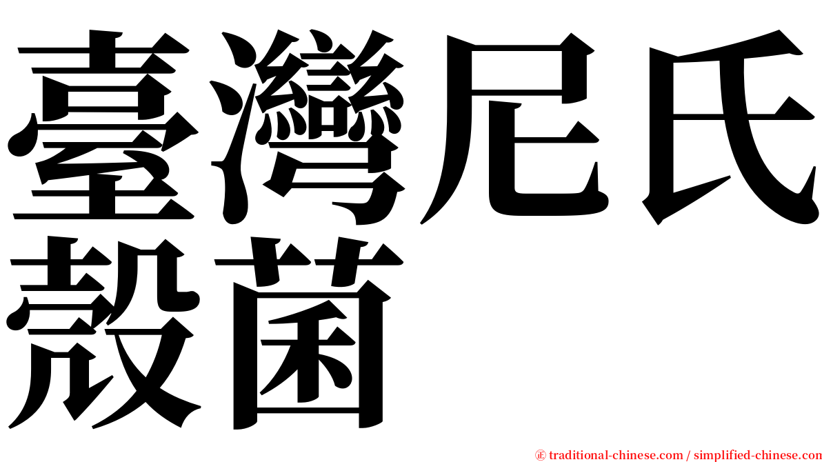 臺灣尼氏殼菌 serif font