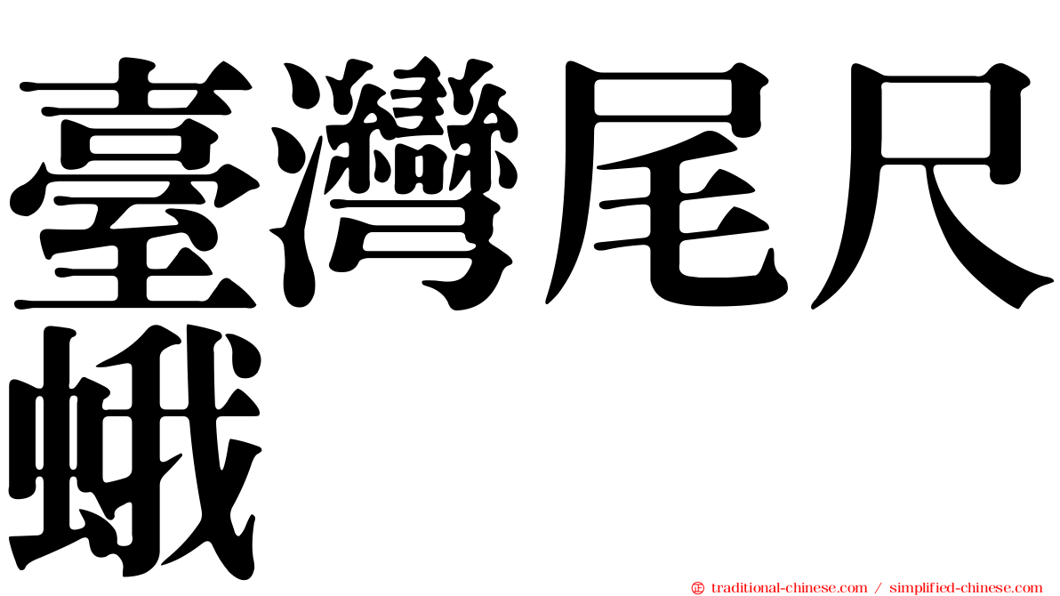 臺灣尾尺蛾