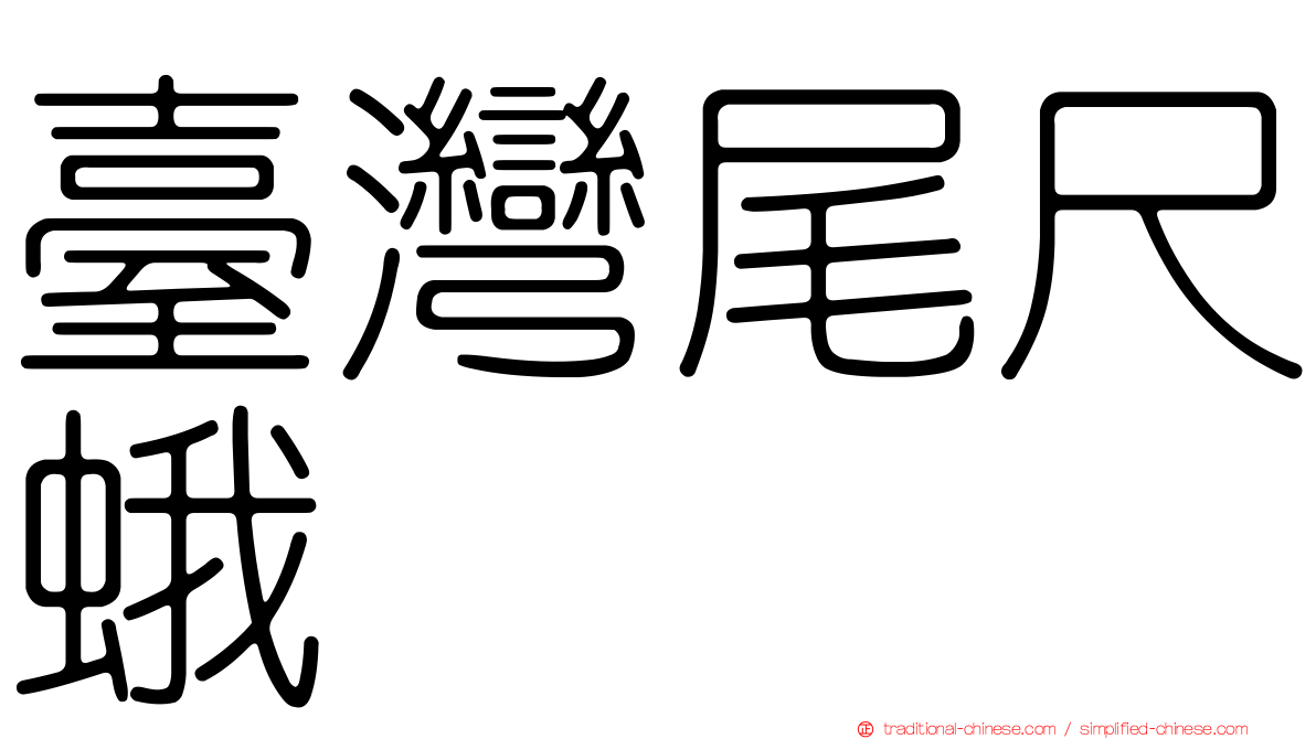 臺灣尾尺蛾