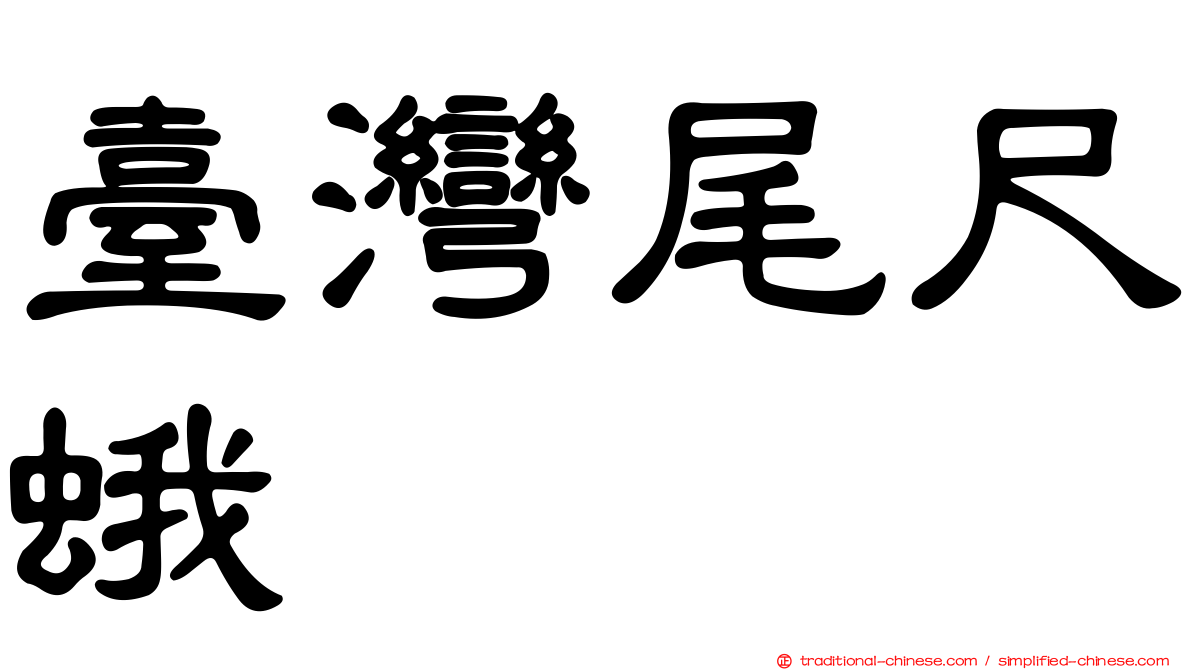 臺灣尾尺蛾
