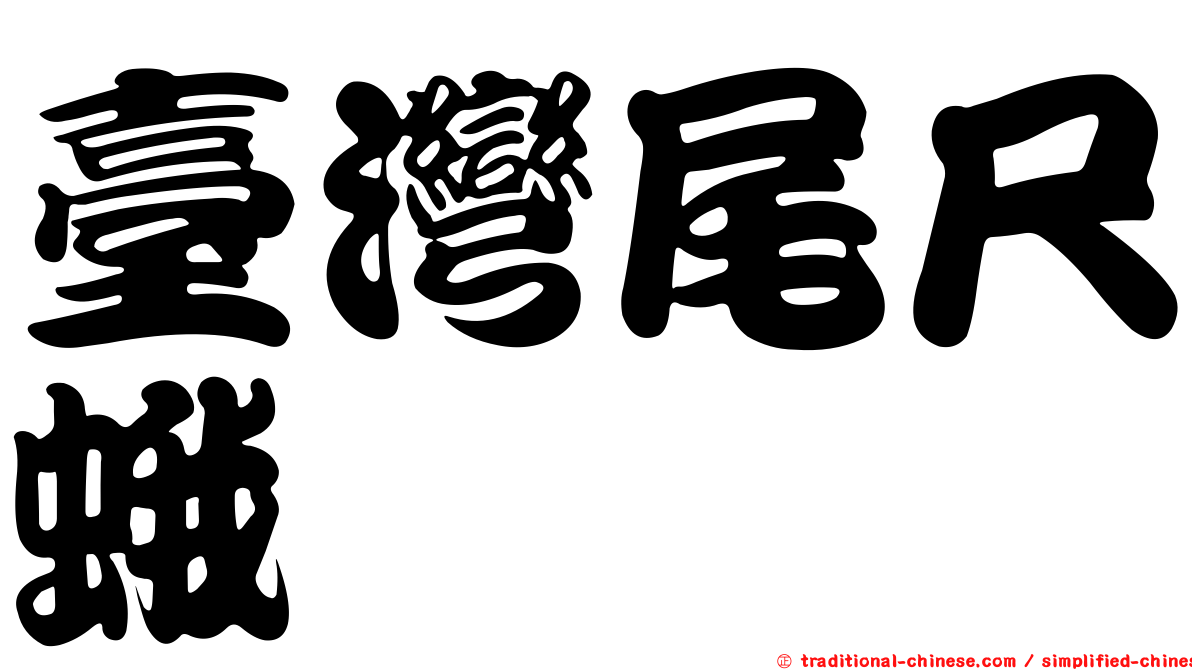 臺灣尾尺蛾