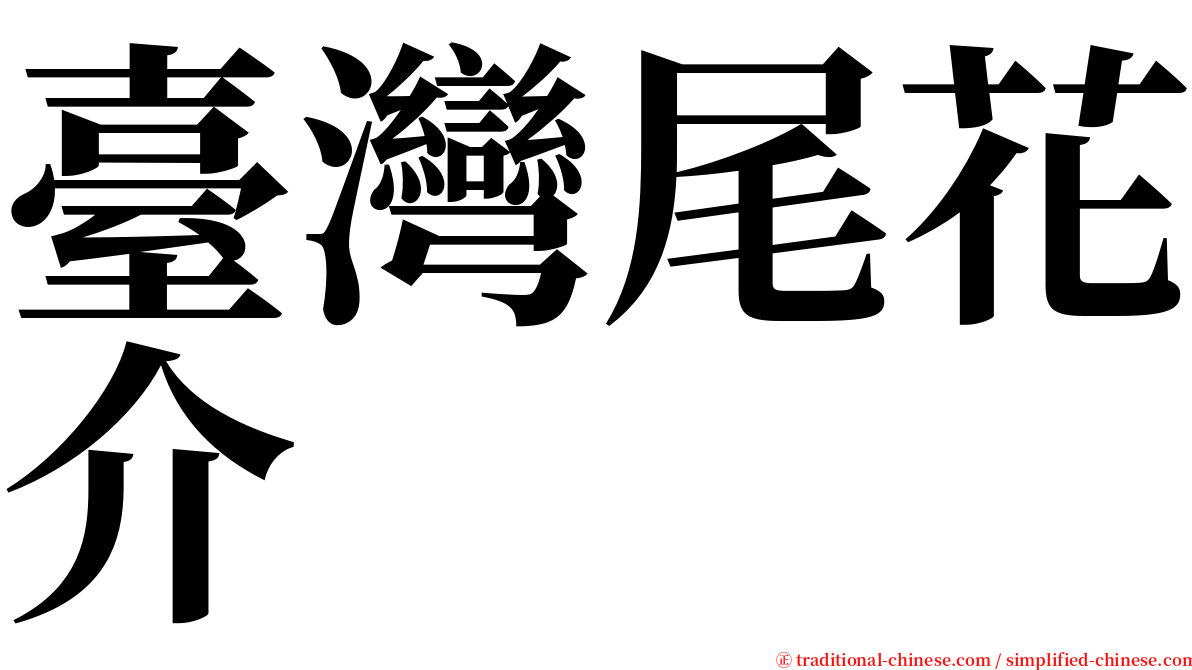 臺灣尾花介 serif font