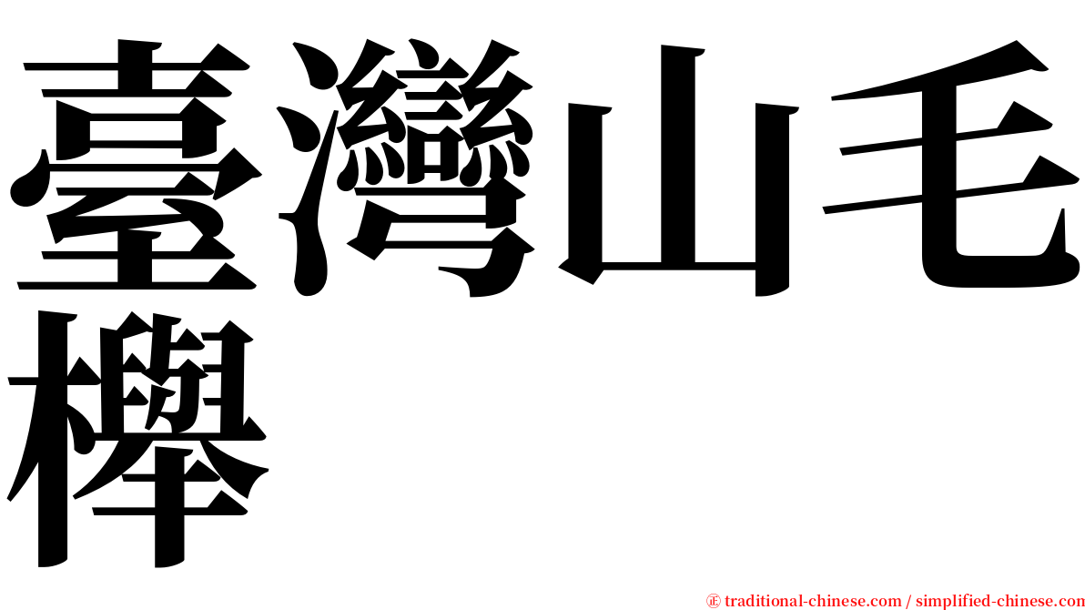臺灣山毛櫸 serif font