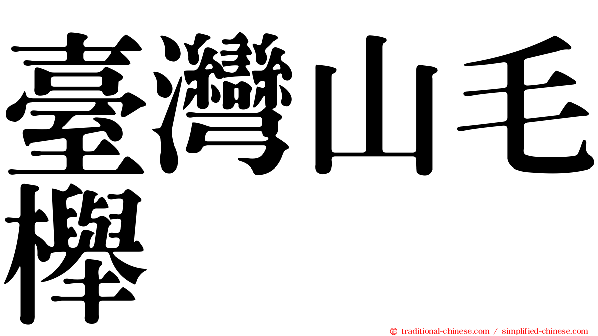 臺灣山毛櫸