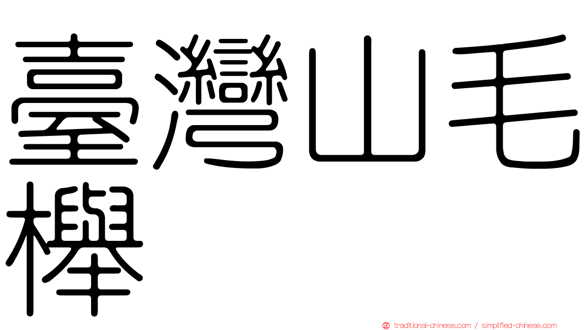 臺灣山毛櫸
