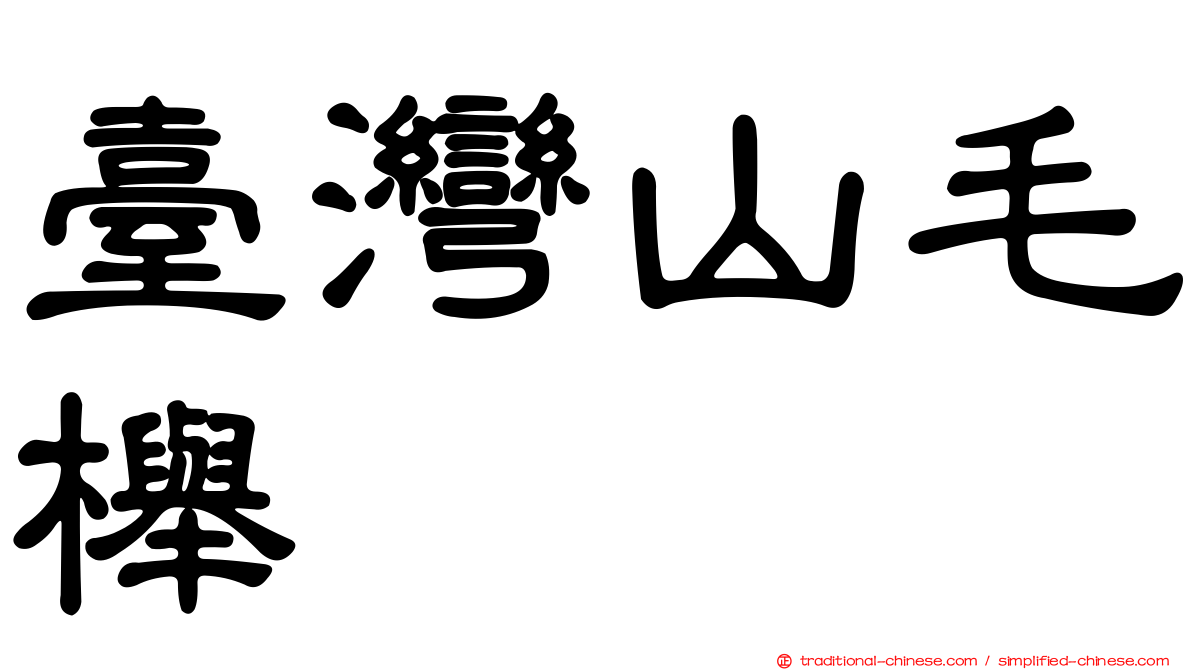 臺灣山毛櫸
