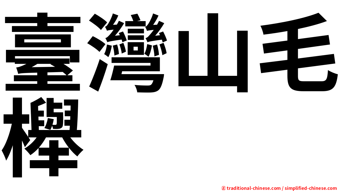 臺灣山毛櫸
