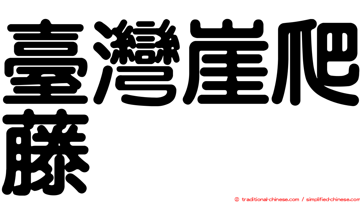 臺灣崖爬藤
