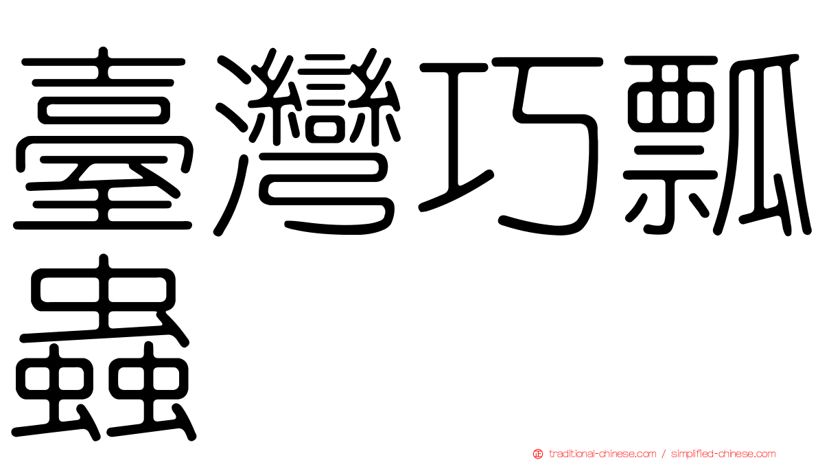臺灣巧瓢蟲