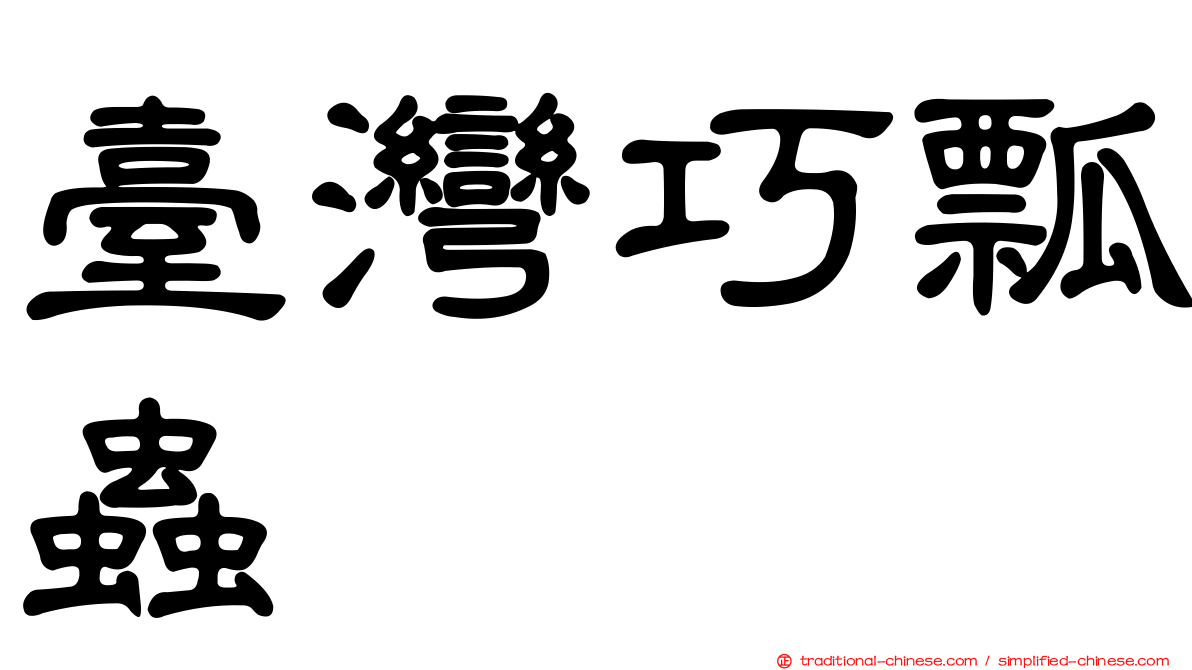 臺灣巧瓢蟲