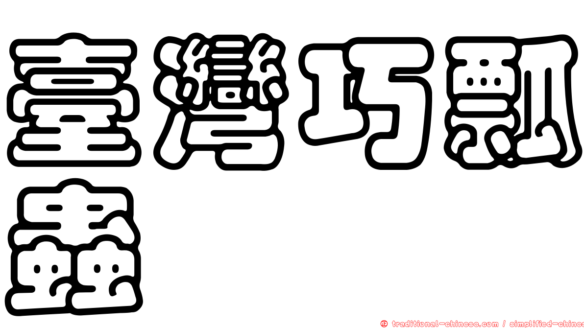 臺灣巧瓢蟲