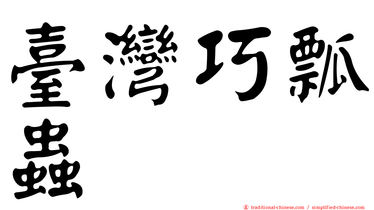 臺灣巧瓢蟲