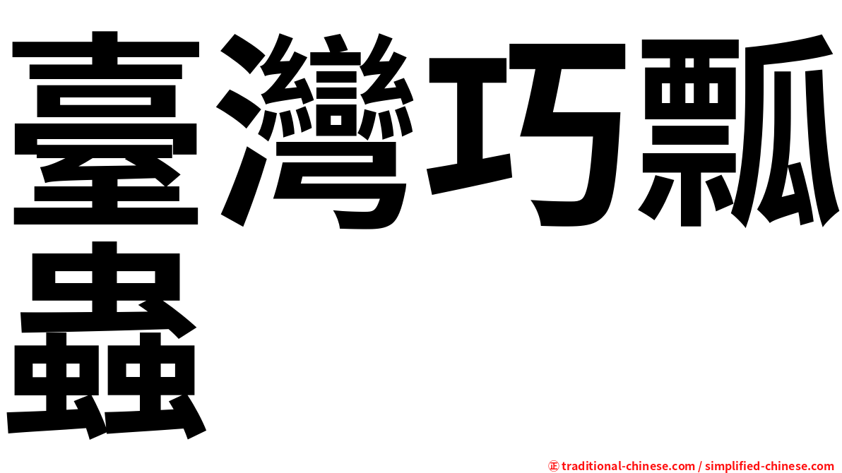 臺灣巧瓢蟲
