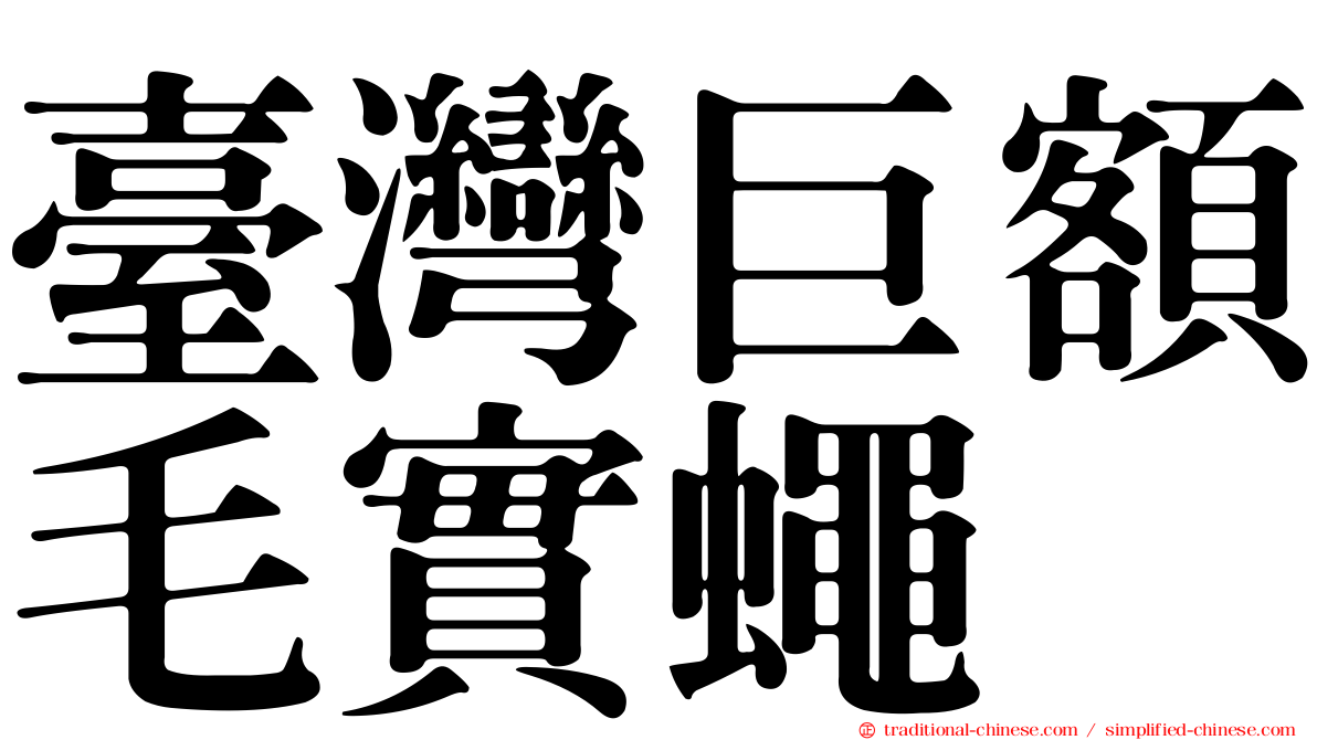 臺灣巨額毛實蠅