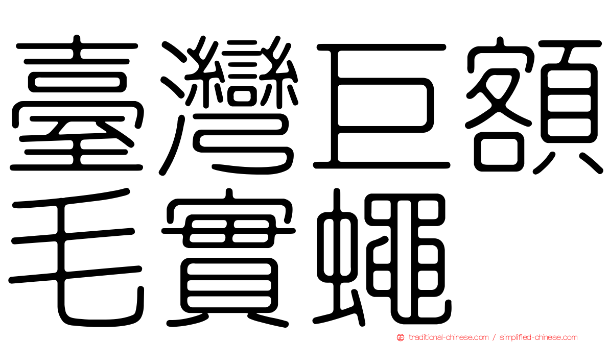 臺灣巨額毛實蠅