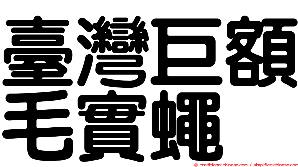 臺灣巨額毛實蠅